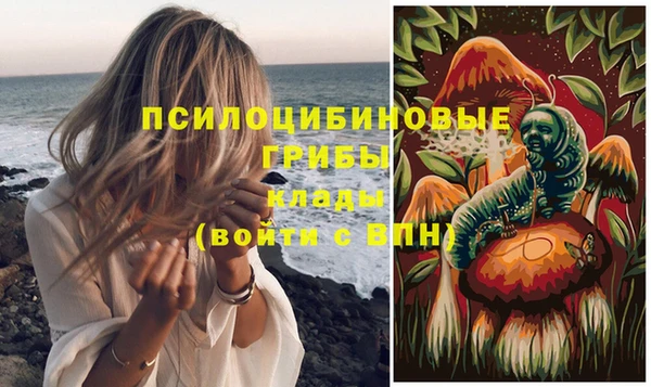 ПСИЛОЦИБИНОВЫЕ ГРИБЫ Наволоки