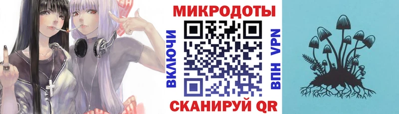 дарк нет клад  Старый Крым  Галлюциногенные грибы Cubensis  МЕГА зеркало 